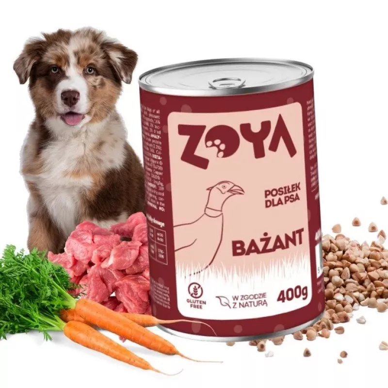 ZOYA faisán – alimento húmedo para perros lata 400g