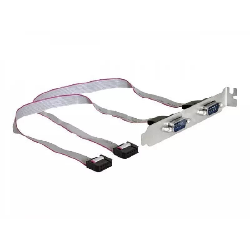 Delock Chapa de ranura, 2 x puerto serie (DB9 macho), 40 cm