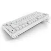 Sharkoon SGK25 75% QWERTZ USB Teclado con cable RGB LED blanco