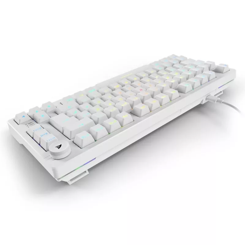 Sharkoon SGK25 75% QWERTZ USB Teclado con cable RGB LED blanco