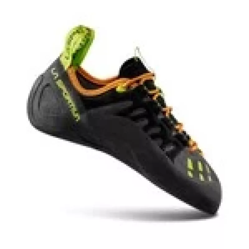 Pie de gato Tarantulace Carbon/Calcium