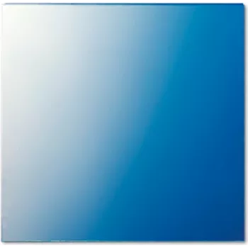 Jung Arandela 62,5x61x1mm 61 GL (61GL)