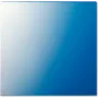Jung Arandela 62,5x61x1mm 61 GL (61GL)