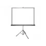 Pantalla de proyección Grandview GV103004 Manual 1:1