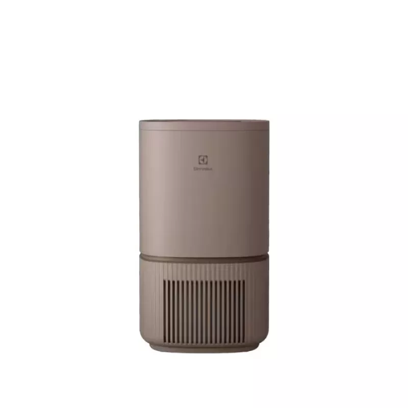Purificador de aire Electrolux Pure 500 EPO50351BG — purificador de aire con filtración HEPA (modelo EPO50351BG)