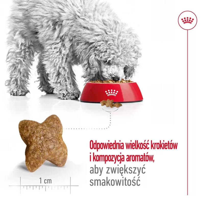 ROYAL CANIN Adult Mini S - Pienso seco para perros - 4 kg