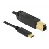 Cable USB DeLOCK 83675 USB 3.2 Gen 2 1 m USB C USB B negro