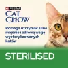 PURINA Cat Chow Sterilised Gig Pollo con berenjena - Comida húmeda para gatos 85 g