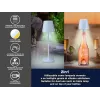 Vaporera eléctrica Beper P201UTP124 2 niveles 800 W, cocedor de alimentos para encimera