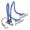 Adaptador interno USB 3.2 Gen 1 DeLOCK 61066 M.2 conector macho negro