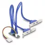 Adaptador interno USB 3.2 Gen 1 DeLOCK 61066 M.2 conector macho negro