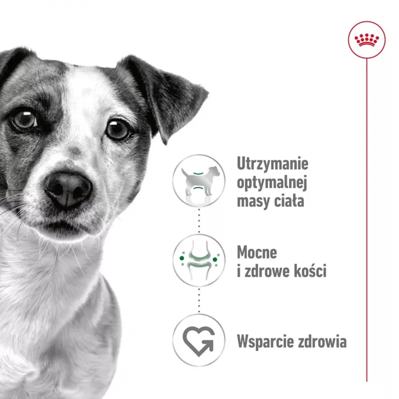 Comida húmeda para perros Royal Canin Mini Adult bolsa 85 g, aves, para razas pequeñas 5–10 kg, pack 12 × 85 g