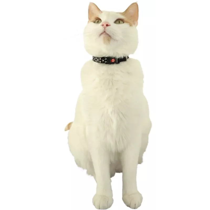 ZOLUX Chatouille azul - collar para gatos