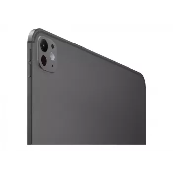 APPLE 33cm 13