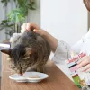 INABA Pollo a la parrilla, filete extra tierno en caldo con aroma a vieira - Snacks para gatos - 25 g