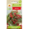 Tomate cherry Bajaja Toraf semillas de hortalizas, paquete de 0,3 g