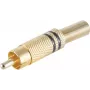 shiverpeaks BS52020-S conector de cable RCA dorado (BS52020-S)