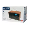 Radio AM/FM analógica portátil BLOW RA9 V.2 — recepción AM y FM, a pilas, sintonización analógica