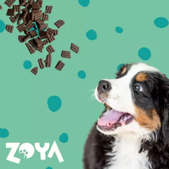 ZOYA ColdPRO Ciervo - comida seca para perros - 1 kg