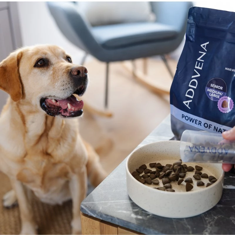 ADDVENA Power of Nature Senior Medium/Large Lamb - pienso seco para perros - 2,5 kg