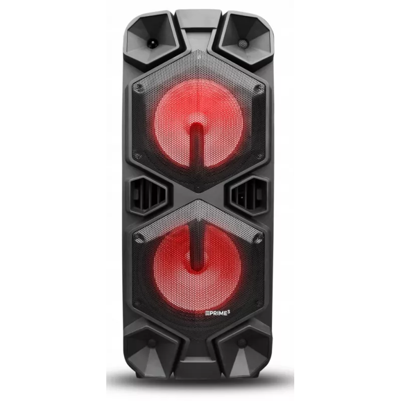 Altavoz portátil APA24 Bluetooth Karaoke, negro