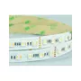 Synergy 21 LED Flex Strip 5050 - 84 RGB DC24V + RGB-WW (RGB-CCT) un chip HD IP20