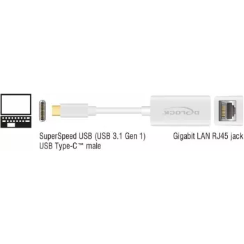 DeLOCK 65906 Adaptador de red de USB Type-C a Gigabit LAN, blanco