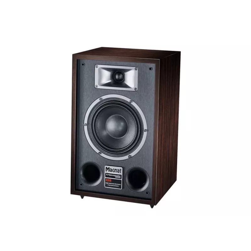 Altavoz de suelo Magnat TRANSPULS 800A 2 vías con cable e inalámbrico 2×60 W, Bluetooth 5.0, HDMI, negro/marrón