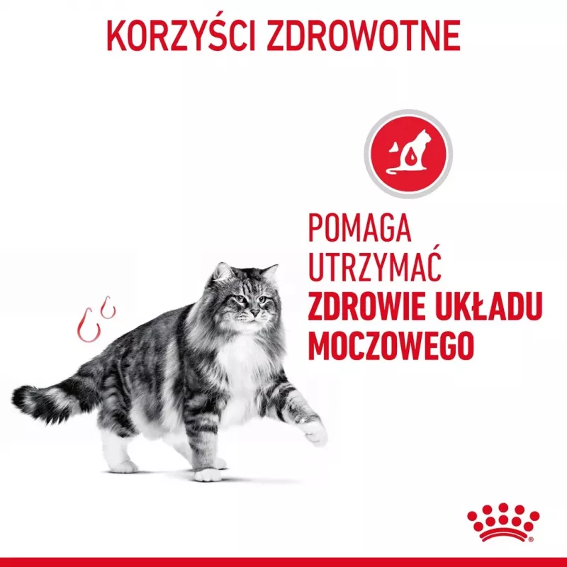 Comida húmeda para gatos Royal Canin Urinary Care adultos aves 85 g bolsa (pack de 12)