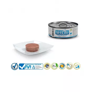 FARMINA Vet Life Hypoallergenic Pork & Potato - comida húmeda para gatos - 85 g