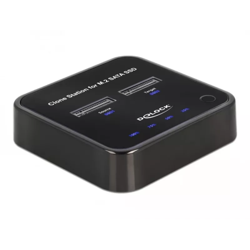 DeLOCK 64178 Estación de acoplamiento USB 3.2 Gen 2 Type-C SSD M.2