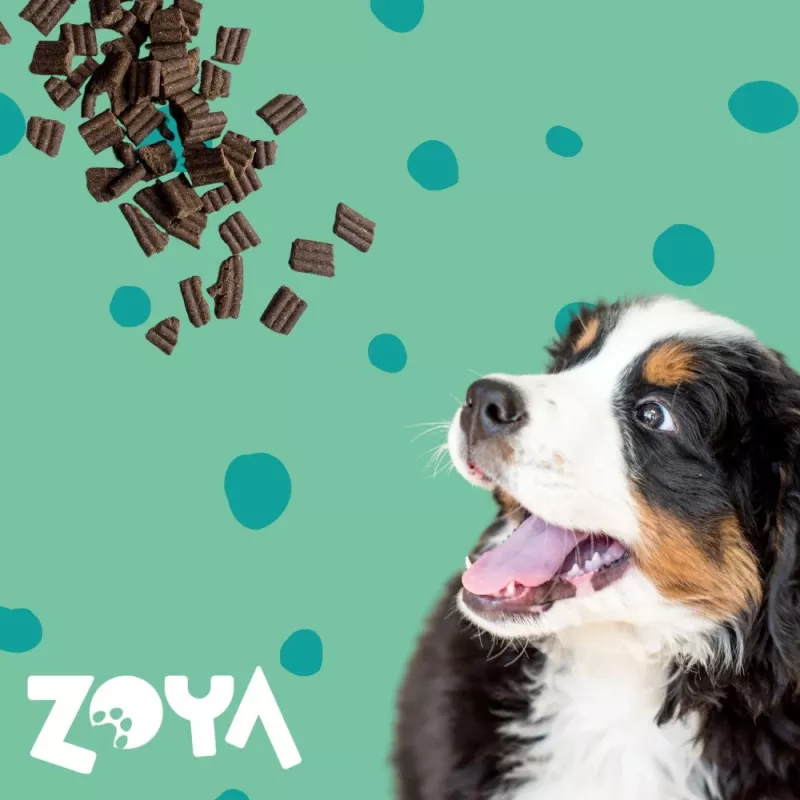 ZOYA ColdPRO comida seca para perros, ciervo, 9 kg