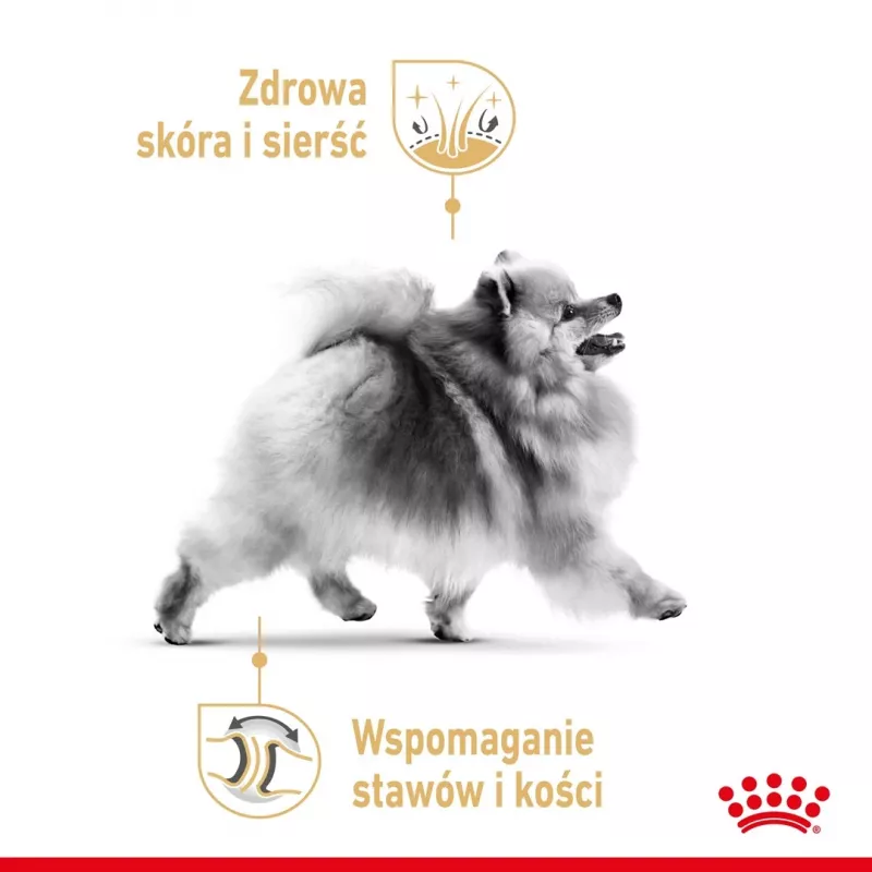 Comida seca Royal Canin Pomeranian Adult 3 kg – fórmula para razas pequeñas para pomeranias adultos