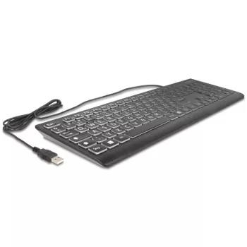 DeLOCK 12170 teclado USB con letras XXL e iluminación, 1,5 m, negro