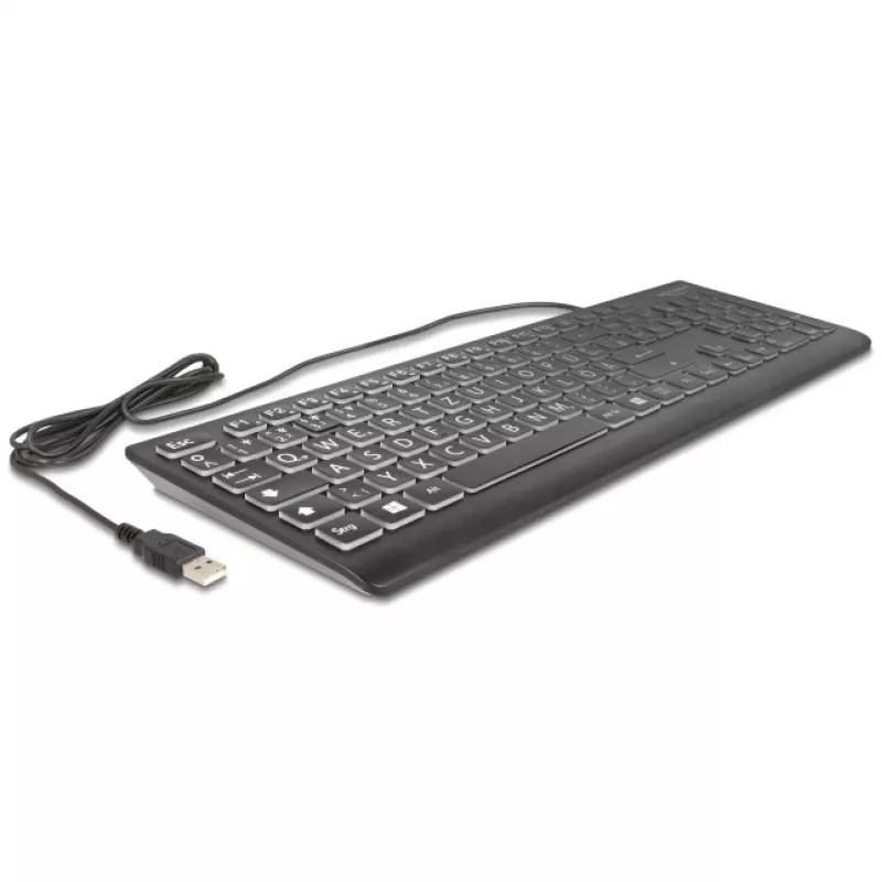 DeLOCK 12170 teclado USB con letras XXL e iluminación, 1,5 m, negro