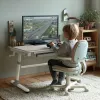 Ergo Office Escritorio infantil ergonómico de altura ajustable, gris, máx. 100 kg, ER-417 2cz