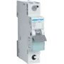 Hager MBS106. Corriente nominal: 6 A, frecuencia de red: 50/60 Hz. Tipo: tipo B, número de módulos (máx.): 1 módulo(s). Ancho: 17,5 mm, profundidad: 70 mm, altura: 83,4 mm (MBS106)