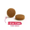 BOSCH Sanabelle Adult Chicken & Blueberries - pienso seco para gatos - 2 kg