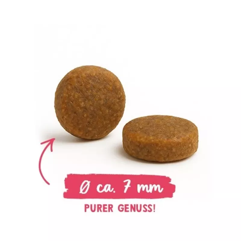 BOSCH Sanabelle Adult Chicken & Blueberries - pienso seco para gatos - 2 kg
