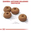 ROYAL CANIN Medium Sterilised pienso seco para perros - 3 kg