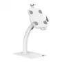 Soporte de escritorio/pared para tablet MACLEAN MC-468W, blanco, para tablets de 7,9–11