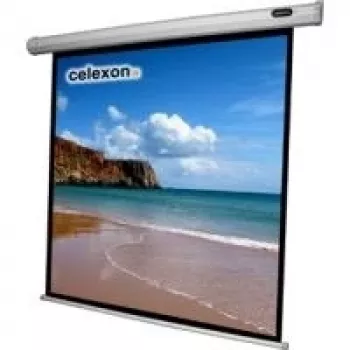 CELEXON Screen Motor Economy 240x240 cm incl. caja de control y mando a distancia IR, borde y parte trasera negros, ganancia 1.2 (1090068)