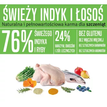 ARQUIVET Fresh Puppy pavo y salmón - Comida semihúmeda para perros - 10 kg