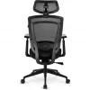 Silla de oficina Sharkoon OfficePal C20 asiento acolchado respaldo de malla negro