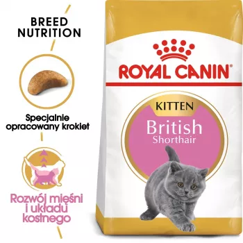 Pienso para gatos Royal Canin British Shorthair Kitten 2 kg — Pollo, 38 % proteínas, 20 % grasas, fórmula de crecimiento