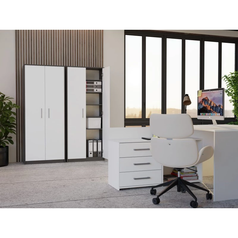 ESTANTERÍA CERRADA OLIV 2D, ANTRACITA/Blanco SET