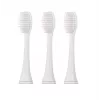 Cepillo de dientes sónico Blaupunkt DTS601