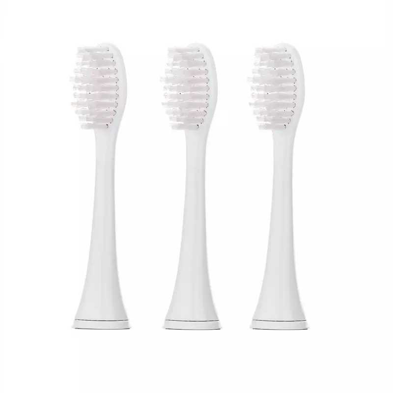 Cepillo de dientes sónico Blaupunkt DTS601
