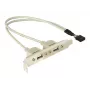 Soporte de ranura 1x USB interno de 5 pines a 2x USB 2.0 externo DeLOCK 71000