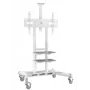 Soporte para TV ONKRON TS1881-W para televisores de 50–86 pulgadas, blanco, soporte universal de pie